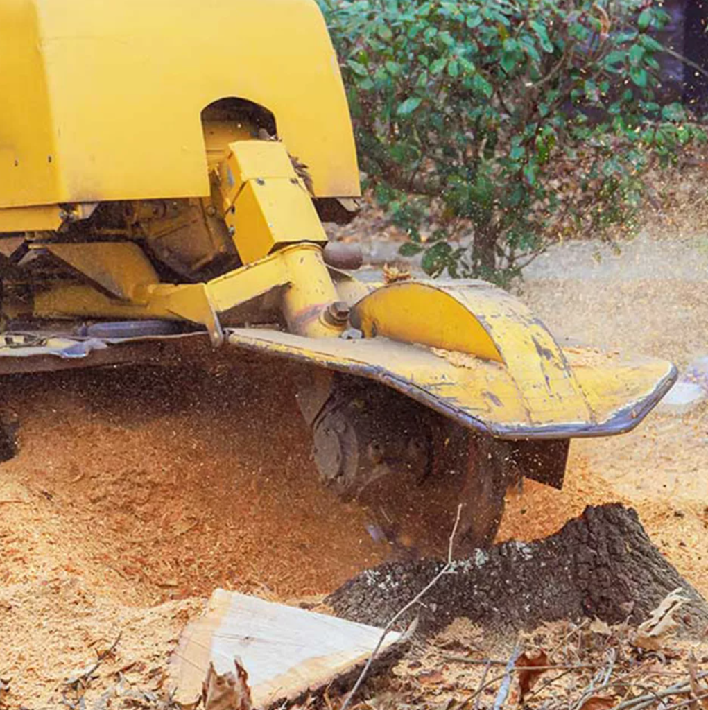 Screenshot 2025-11-18 155401