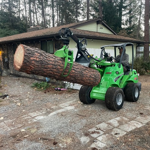 blakes tree service in post falls idaho
