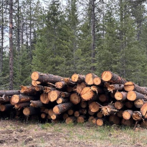 land clearing services post falls idaho