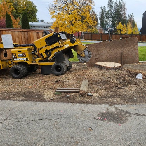 stump grinding services spokane post falls idaho
