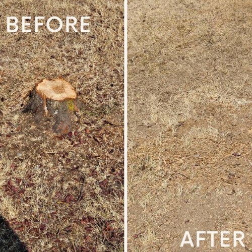 stump-removal-services-spokane-post-falls.jpg
