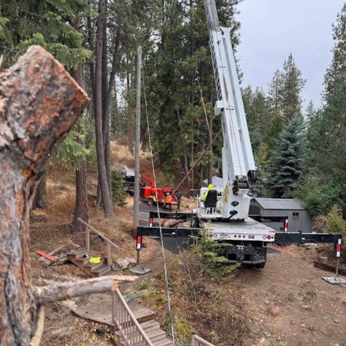 tree removal services spokane washington - post falls idaho