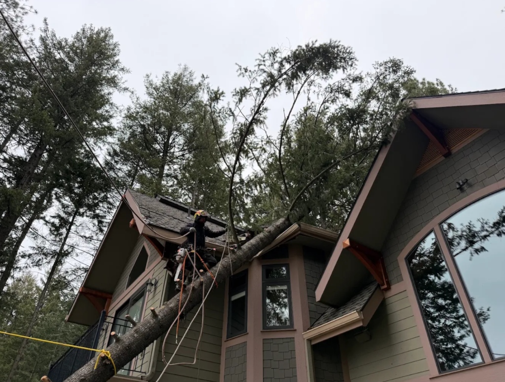 emergency tree services post falls